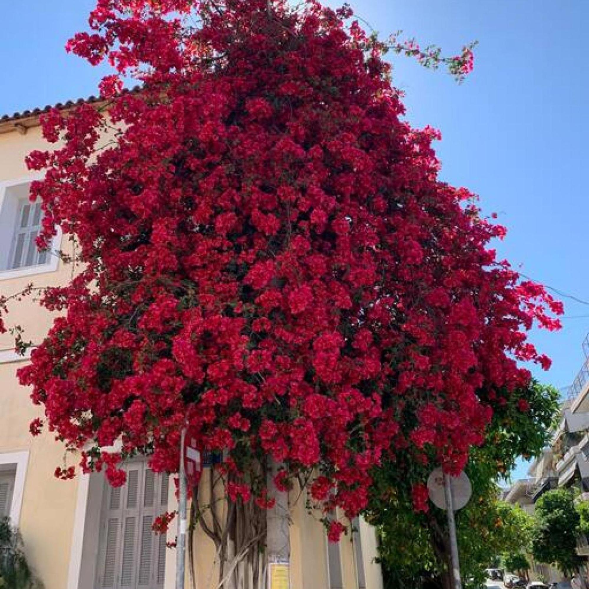 Comfortable Living In Athens 2Br Apartment 外观 照片